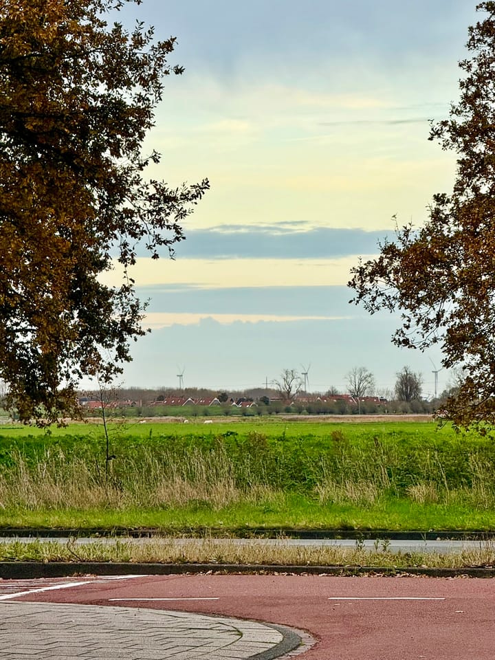 Foto 27 van Reigerstraat 144