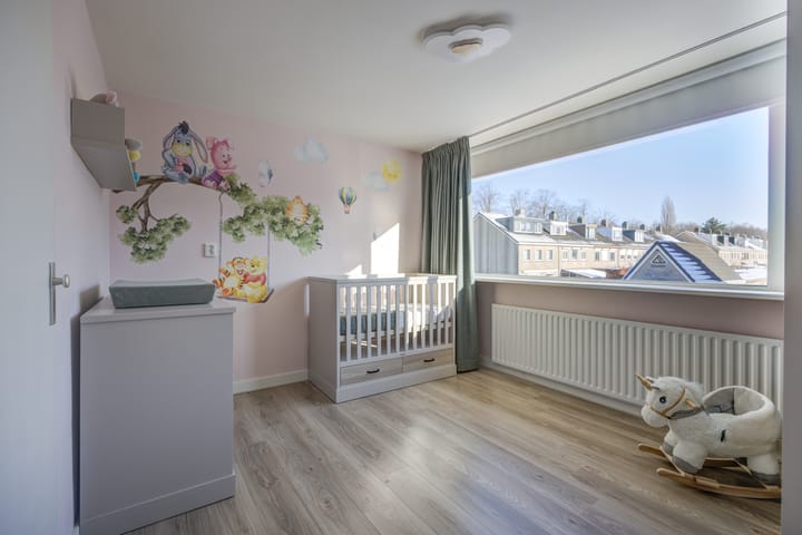 Foto 21 van Brederolaan 103