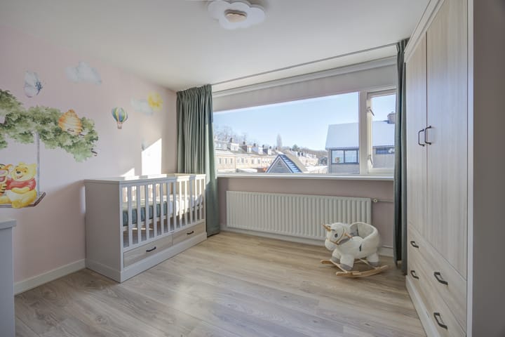 Foto 22 van Brederolaan 103