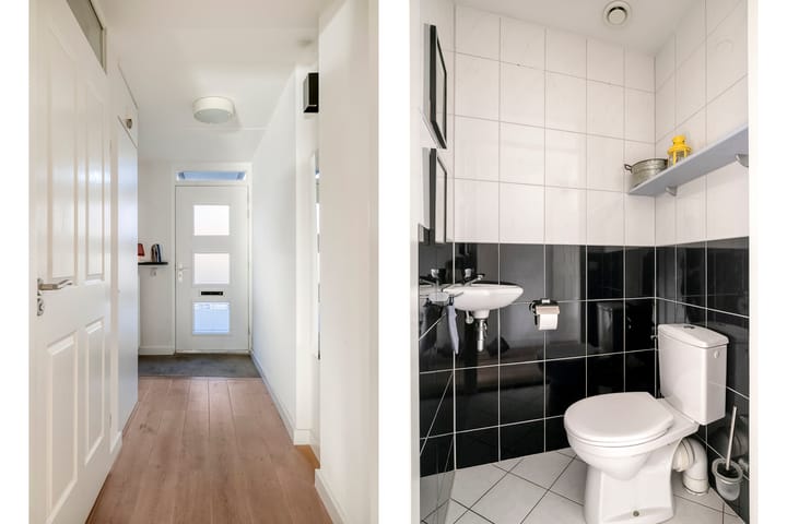 Foto 7 van Visven 426