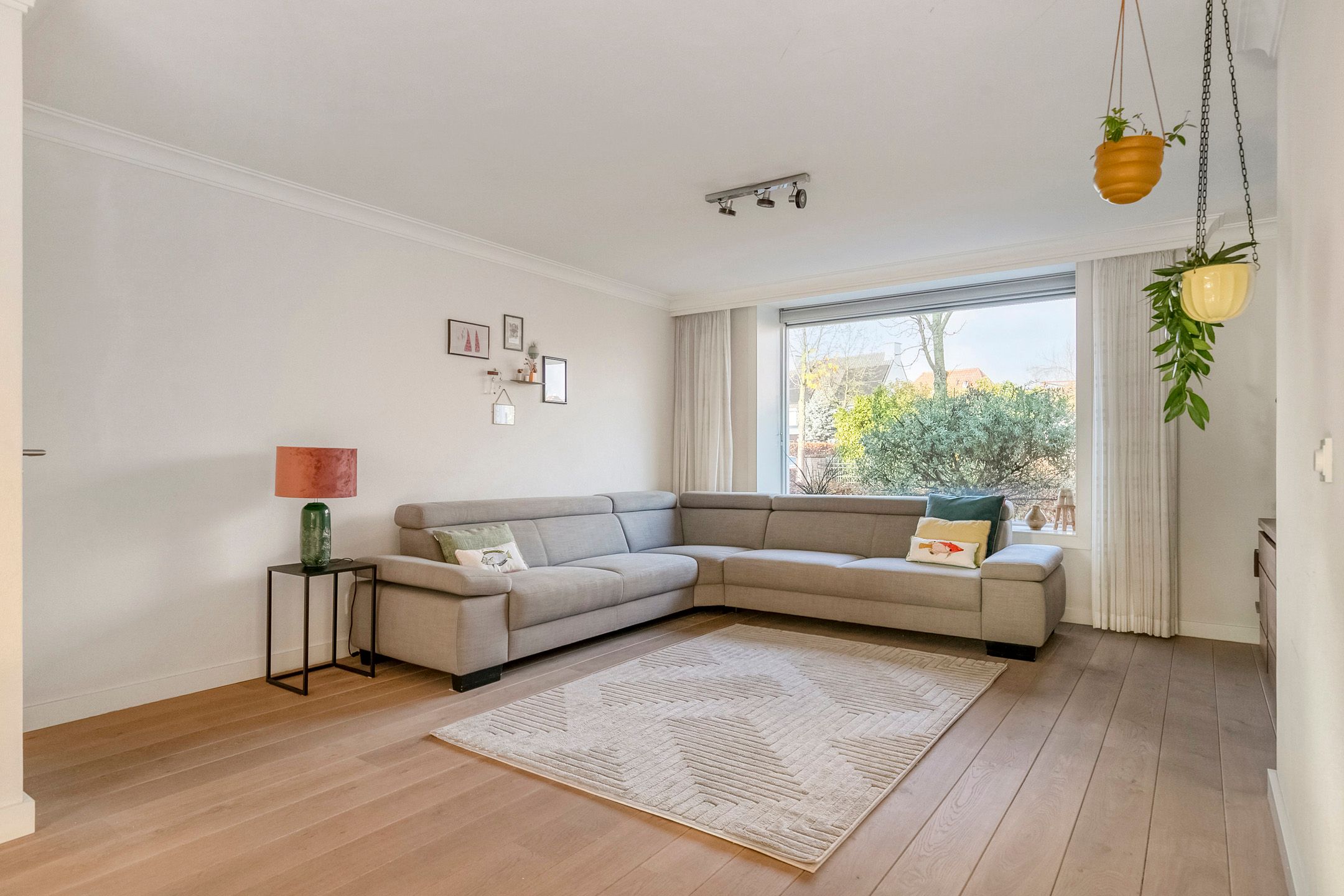 Foto 9 van Visven 426