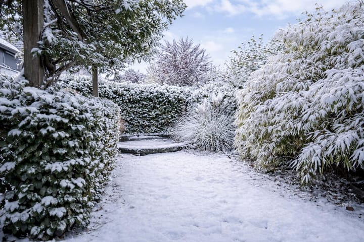 Foto 14 van Scheidiuslaan 27