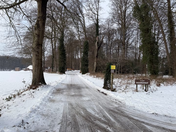 Foto 27 van Scheidiuslaan 27