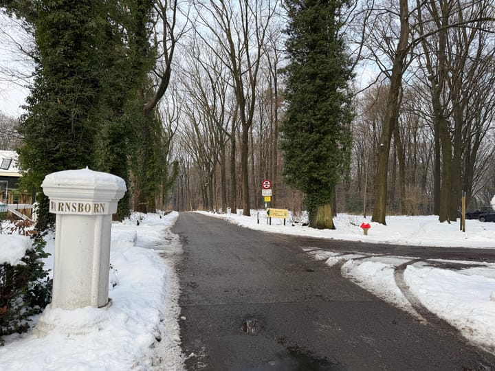 Foto 30 van Scheidiuslaan 27