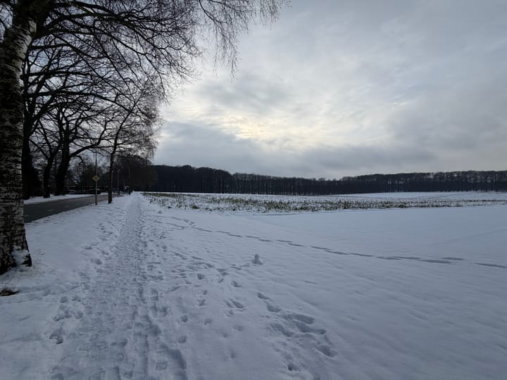 Foto 31 van Scheidiuslaan 27