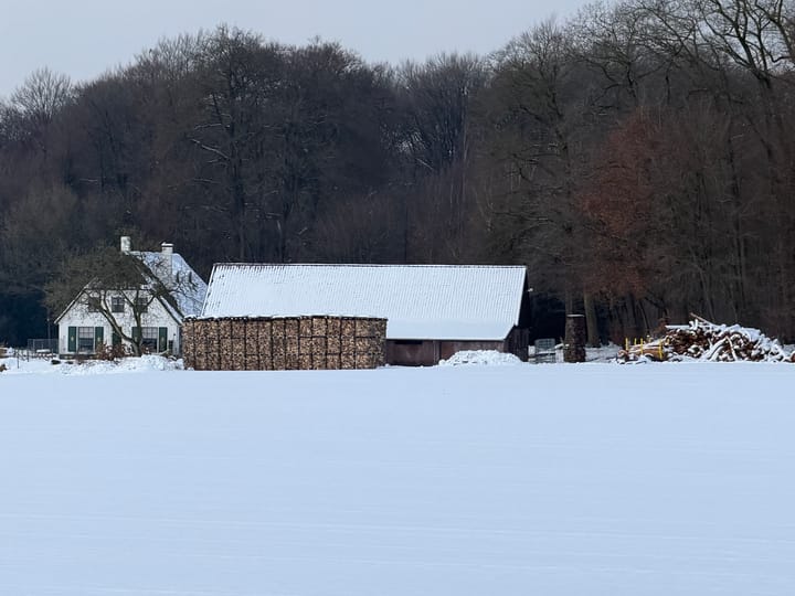 Foto 32 van Scheidiuslaan 27