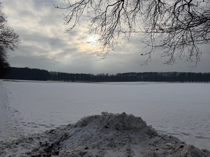 Foto 25 van Scheidiuslaan 27