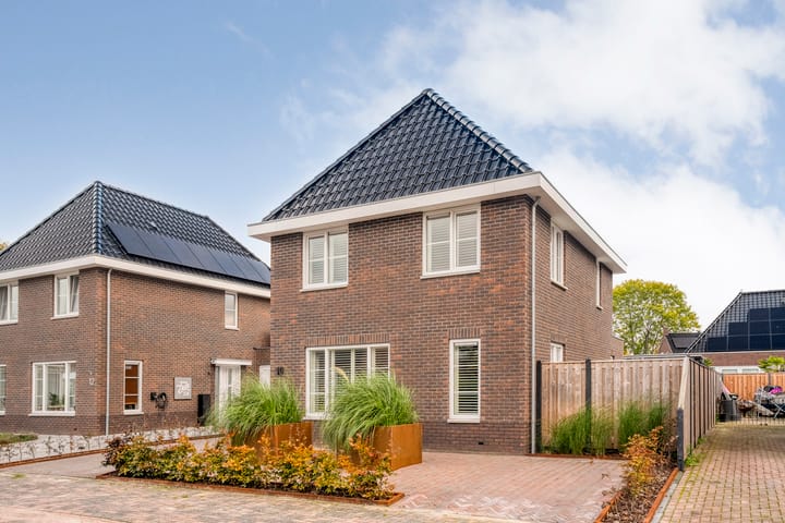 Foto 5 van Moesdistel 10