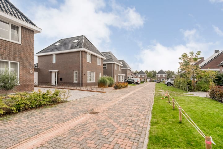 Foto 6 van Moesdistel 10