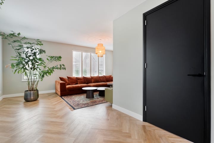 Foto 10 van Moesdistel 10