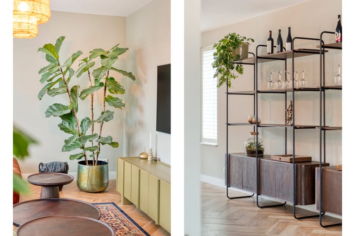 Foto 15 van Moesdistel 10