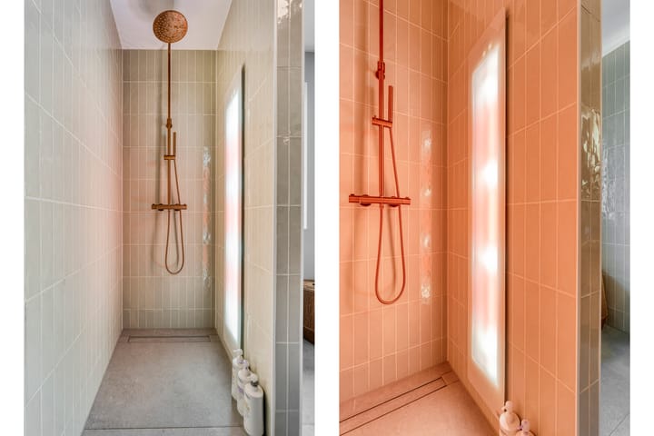 Foto 46 van Moesdistel 10