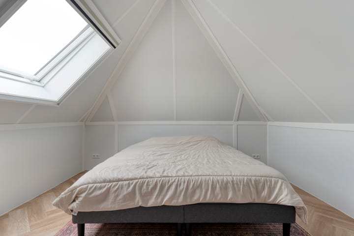 Foto 48 van Moesdistel 10