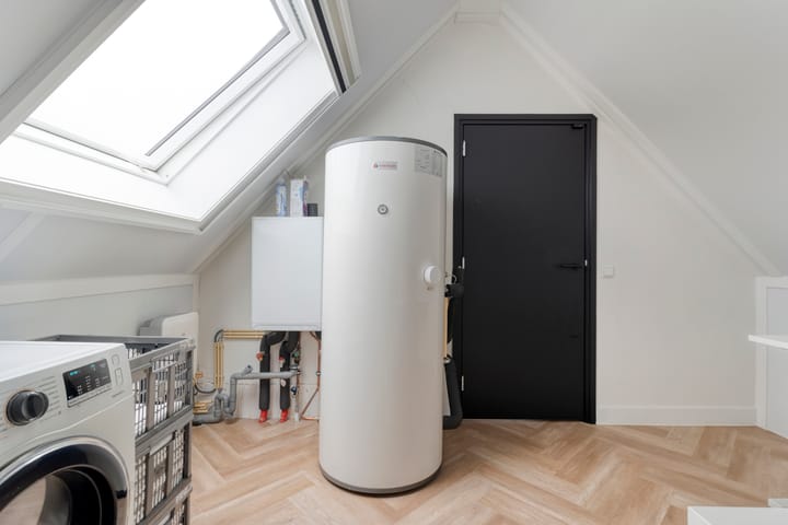 Foto 51 van Moesdistel 10