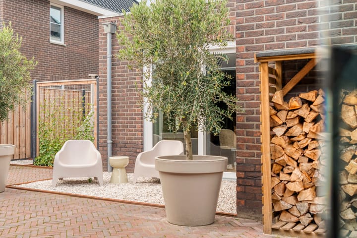 Foto 54 van Moesdistel 10