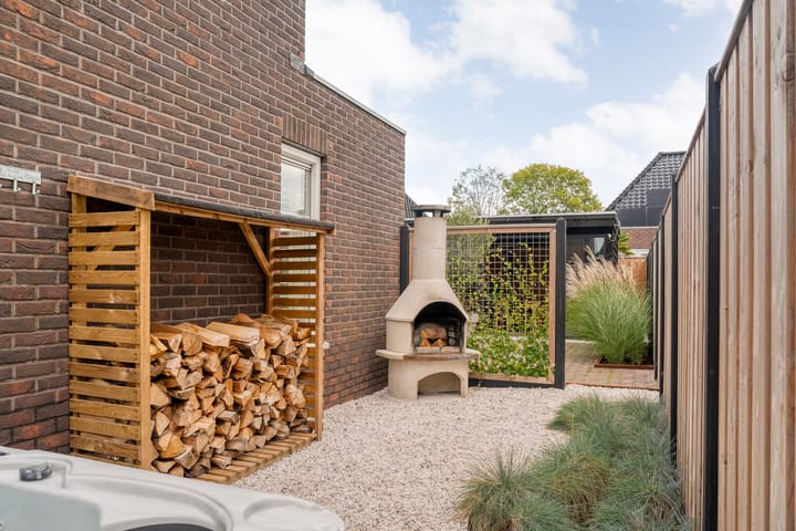 Foto 62 van Moesdistel 10