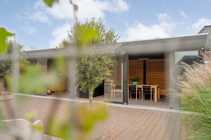 Foto 64 van Moesdistel 10