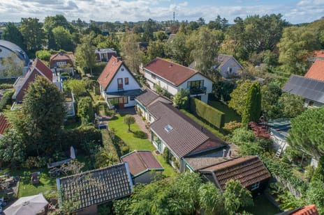 Doorntjes 37 secondary image