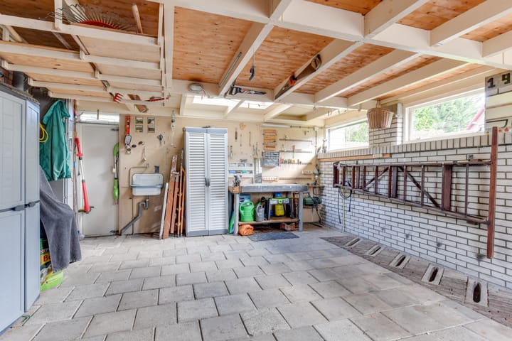 Foto 49 van Doorntjes 37