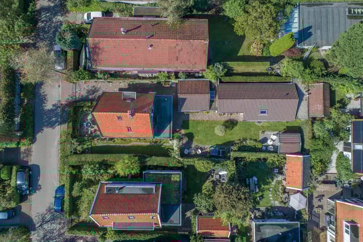 Foto 61 van Doorntjes 37