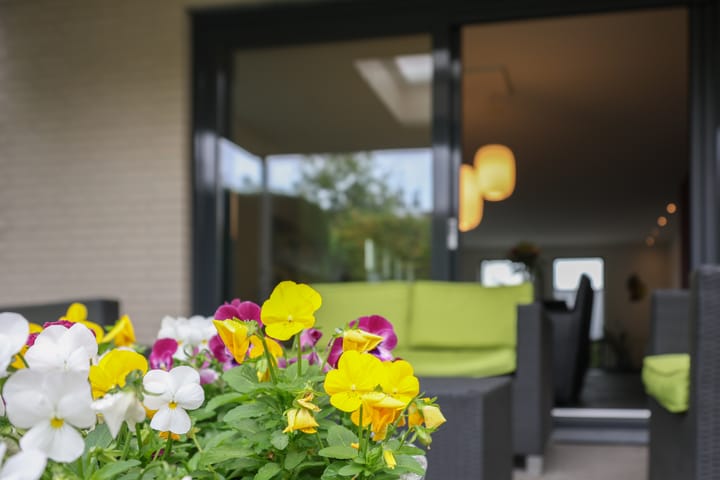 Foto 30 van van Elmptstraat 70