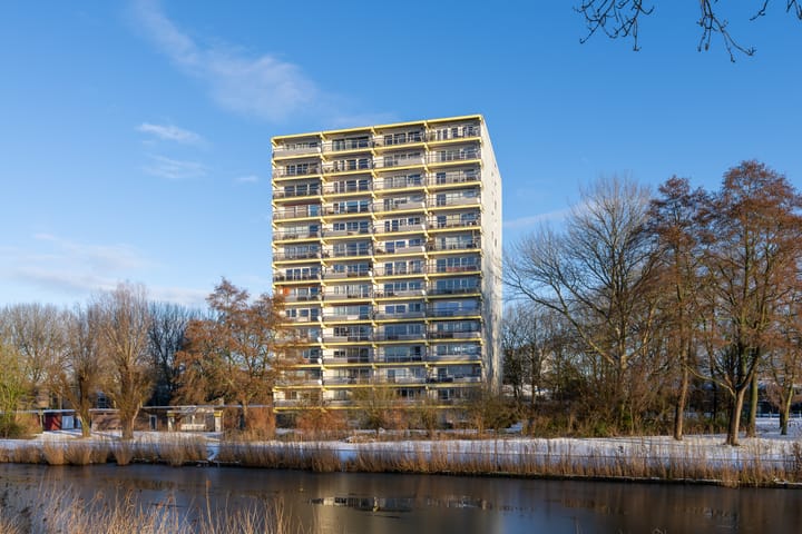 Photo 5 of Burgemeester D. Kooimanweg 281