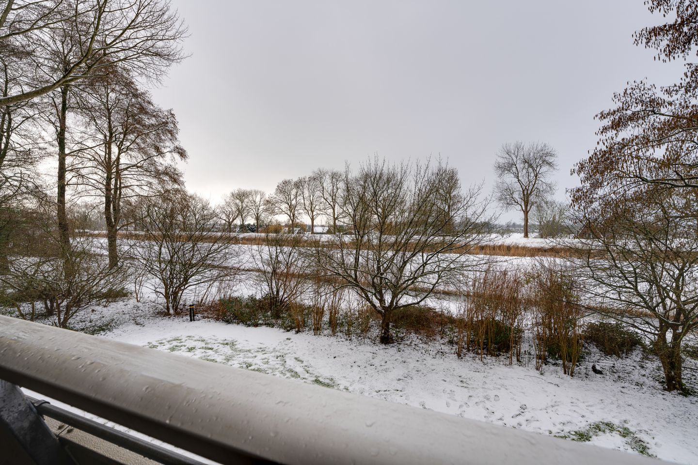 Foto 19 van Burgemeester D. Kooimanweg 281