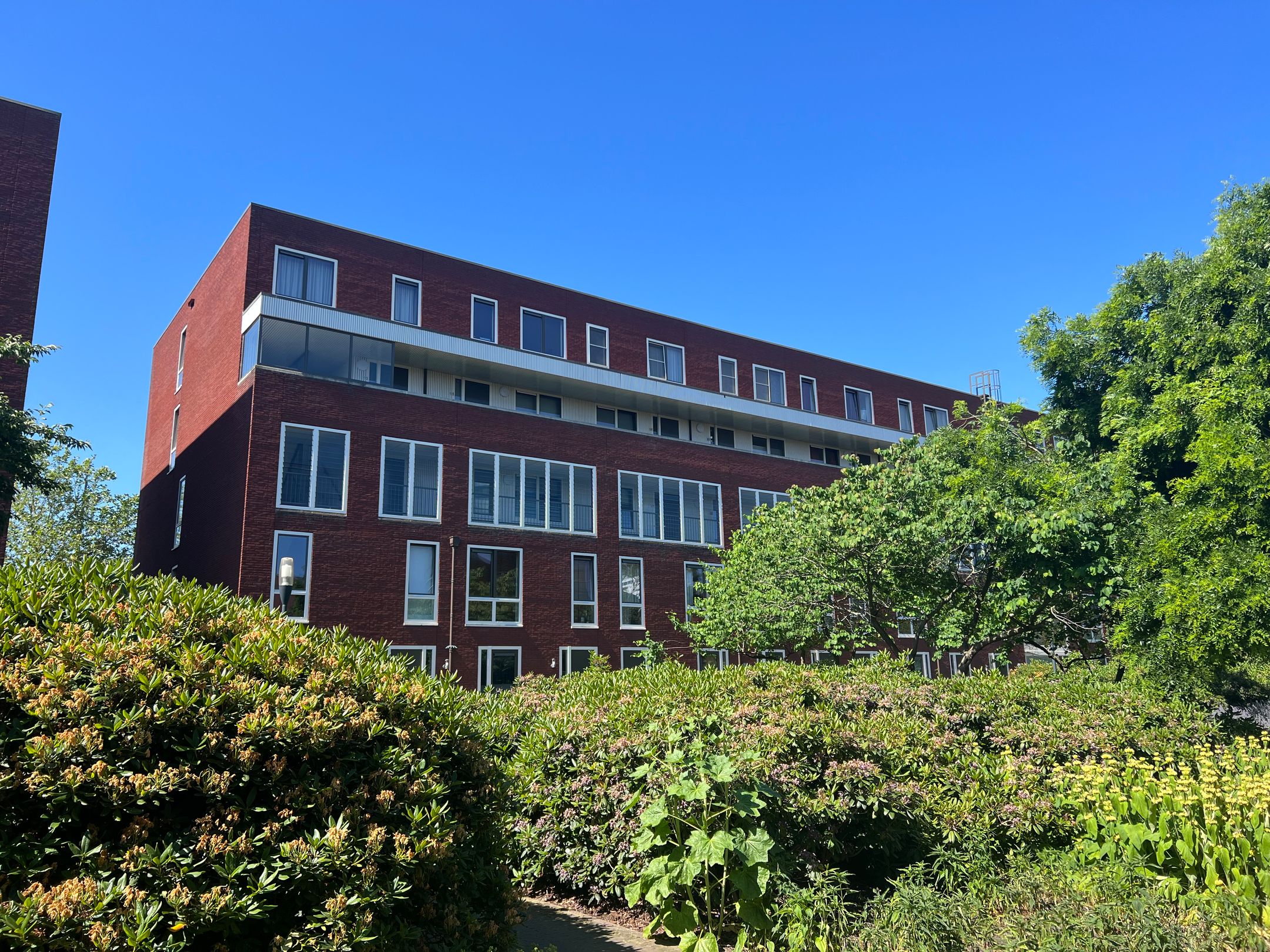 Photo 18 of Veilingstraat 15