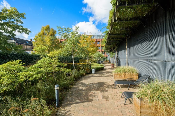 Photo 35 of Marksingel 96