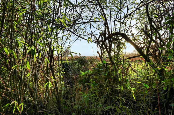 Foto 36 van Oude Bergerweg 89