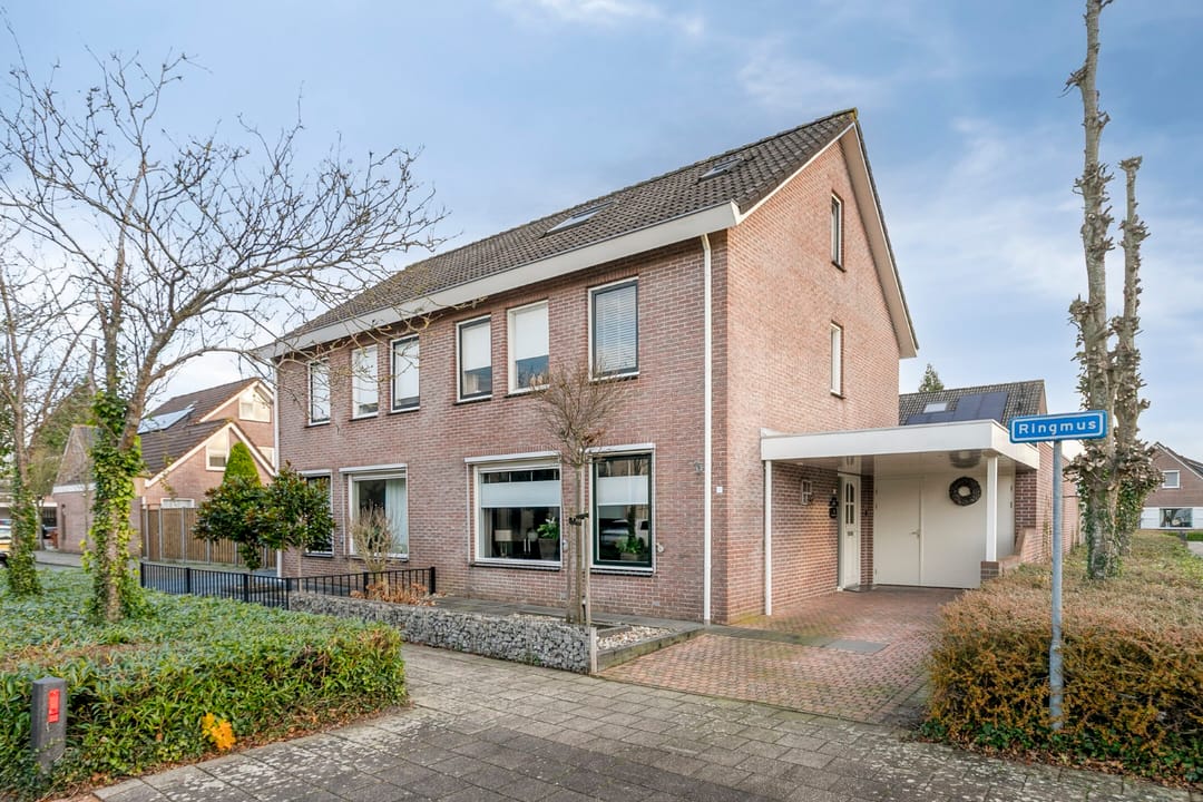 Foto 1 van Ringmus 1