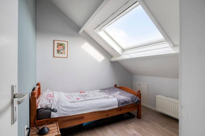 Foto 36 van Ringmus 1