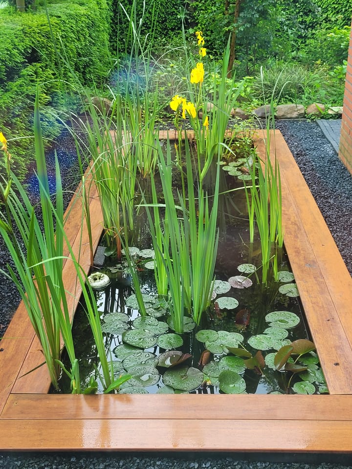 Foto 33 van Het Fluitketeltje 27