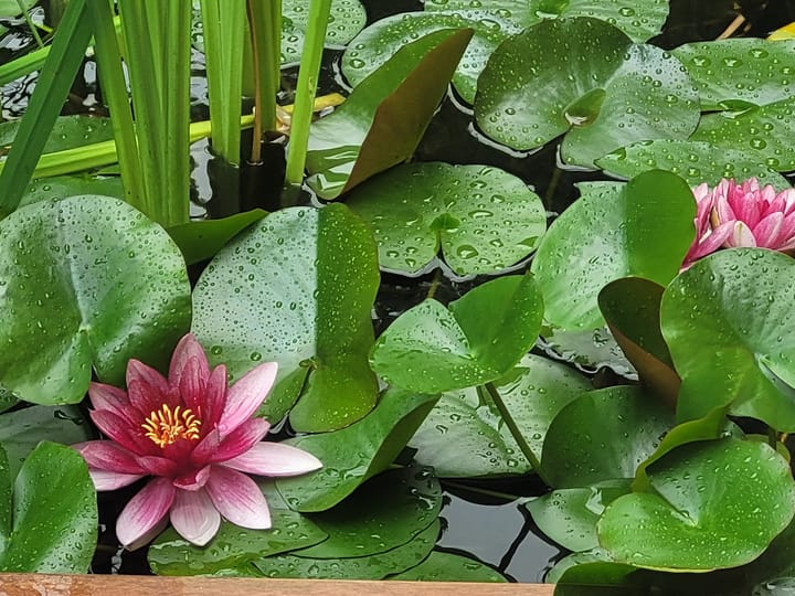 Foto 34 van Het Fluitketeltje 27