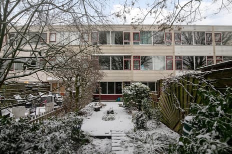 undefined main image