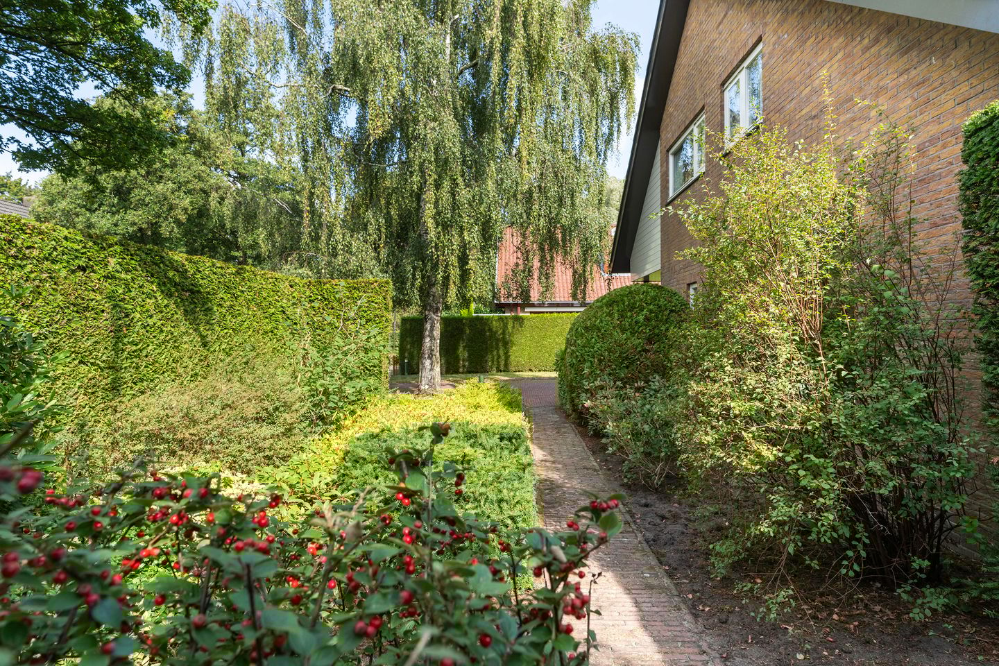 Foto 44 van Haven 42