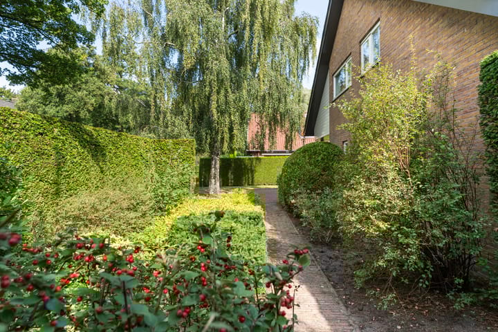 Foto 44 van Haven 42