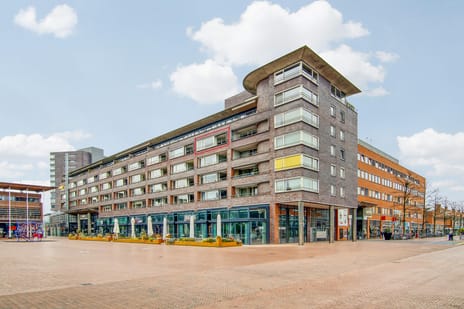 undefined main image