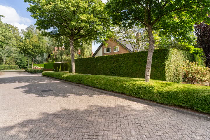 Foto 45 van Haven 42