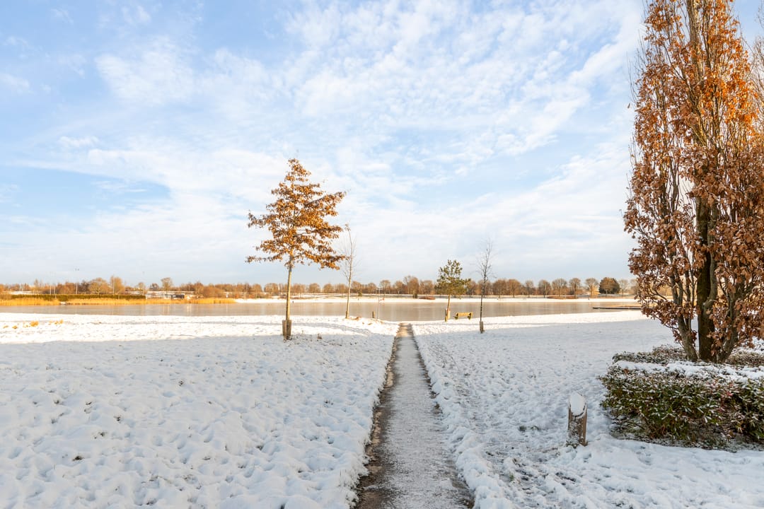 Foto 7 van Zuiderweg 311