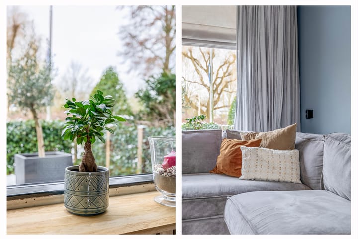 Foto 10 van Bachstraat 2