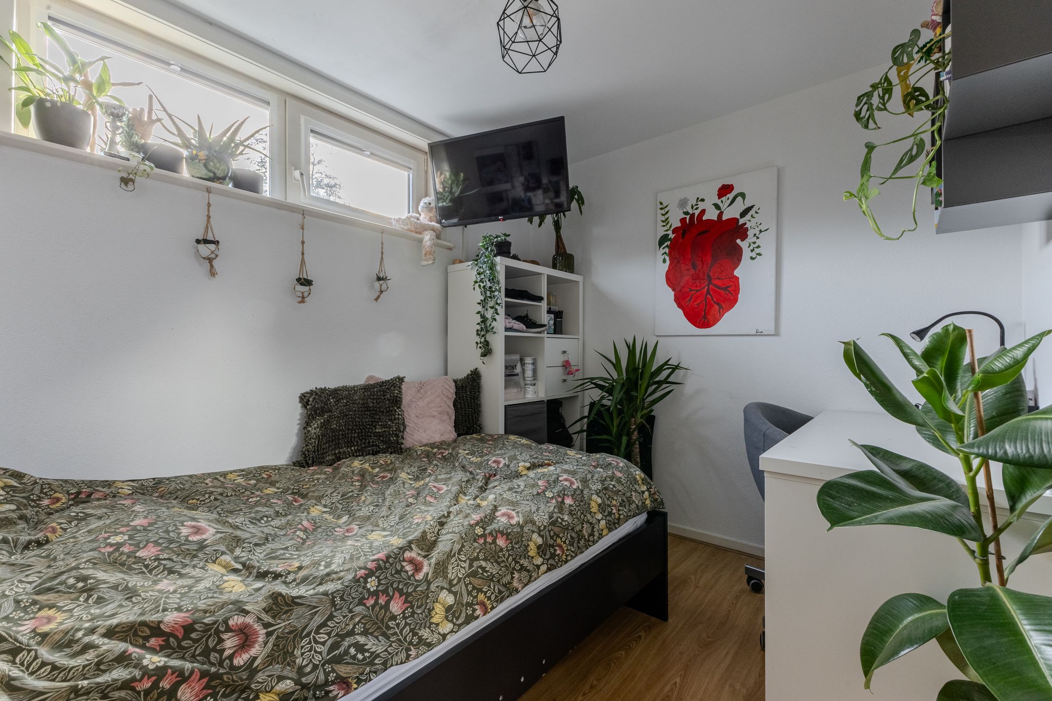 Foto 24 van Braakdijk R 29-ROOD