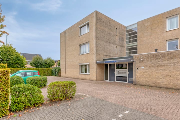 Photo 5 of Vroente 50