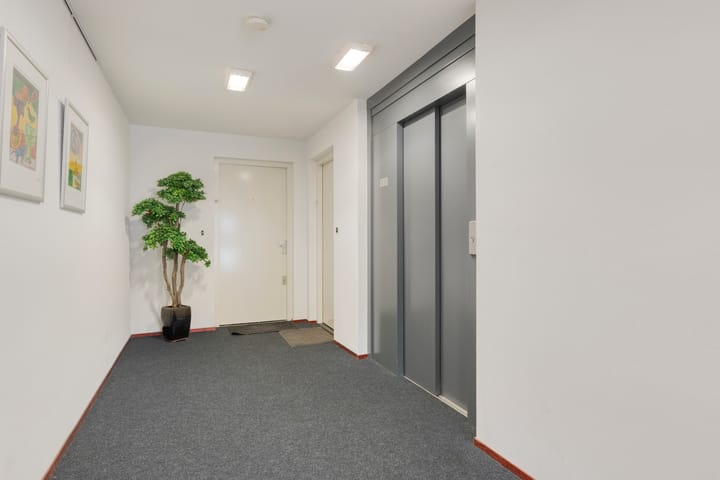 Photo 7 of Vroente 50