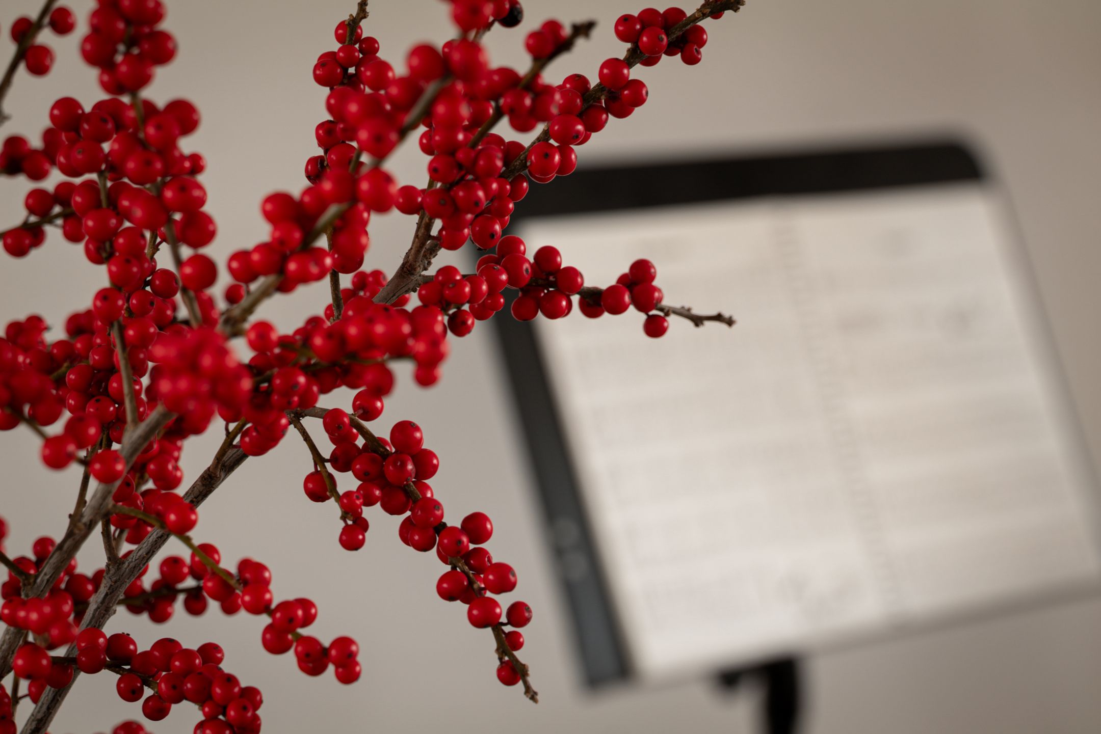 Foto 15 van Van Mourik Broekmanstraat 35-3