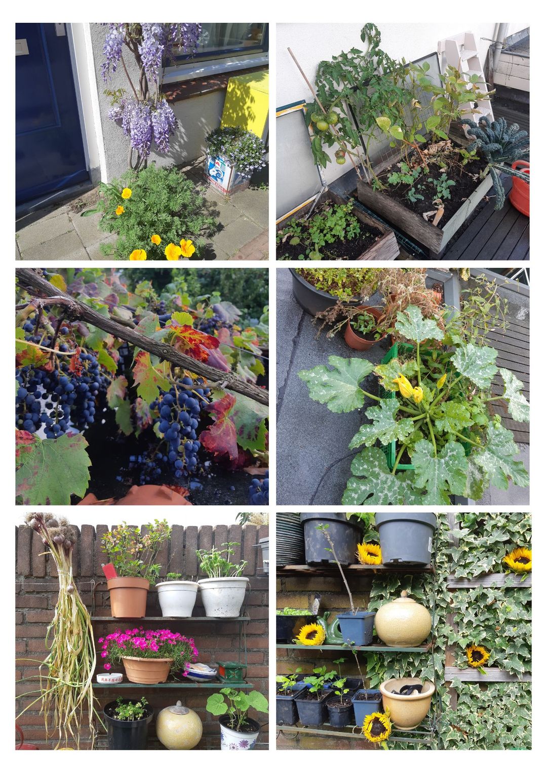 Foto 23 van Lombokstraat 39