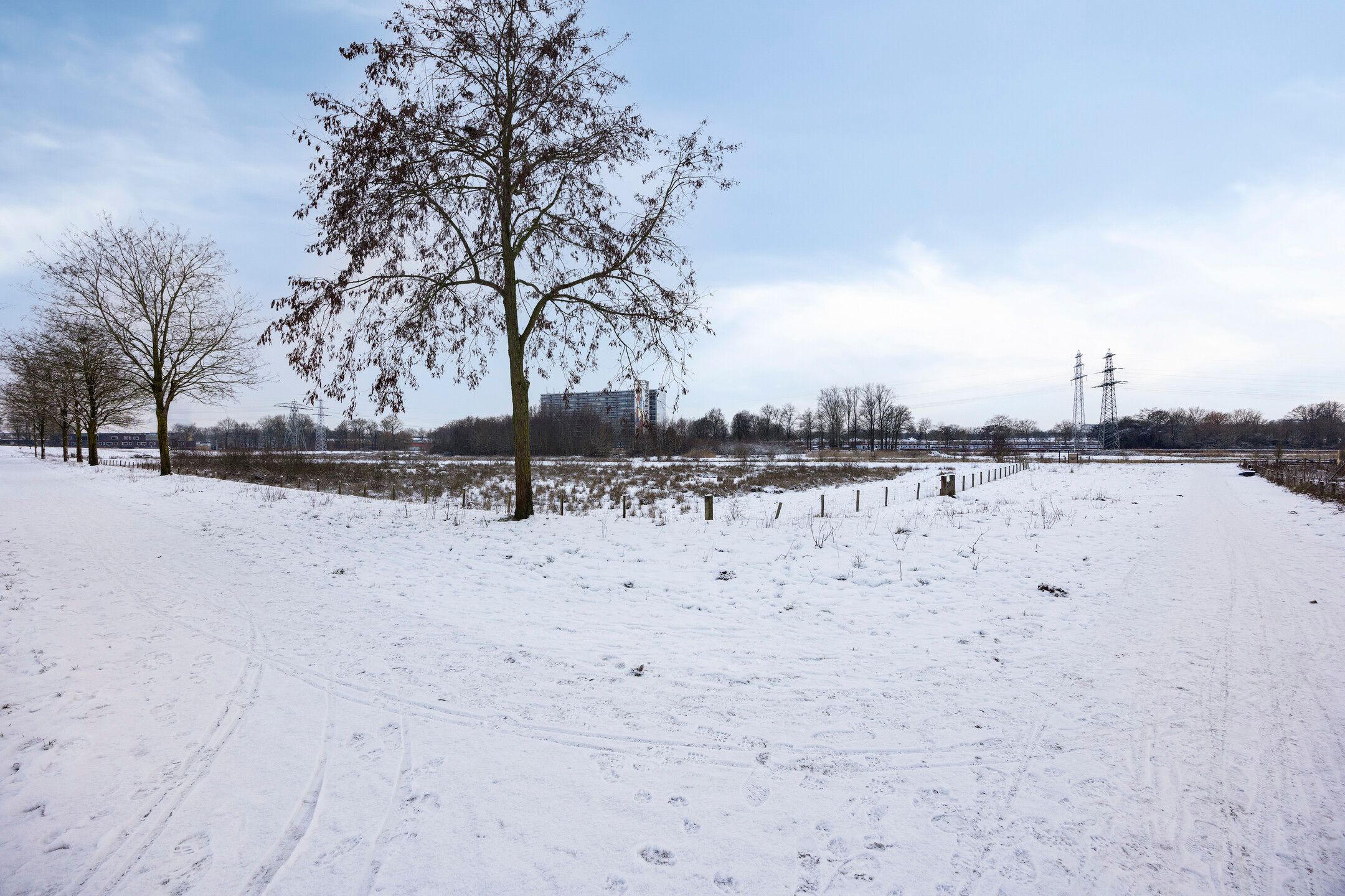 Foto 36 van Steven Coldeweijpad 9