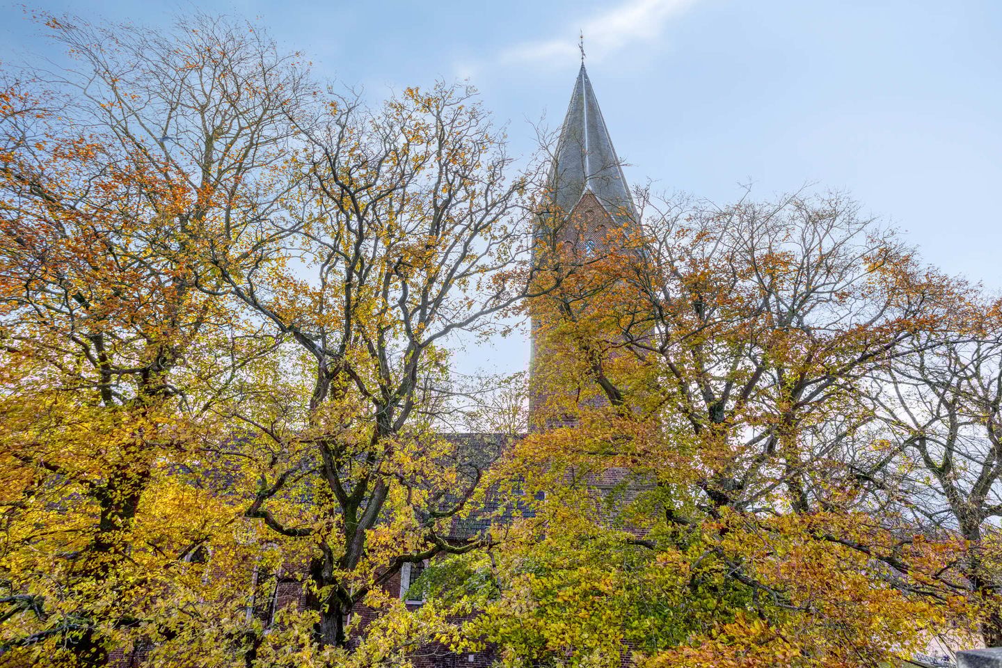 Photo 29 of Brinkhorst 42