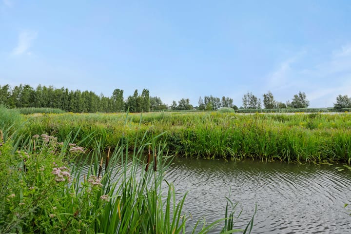 Foto 42 van De Vrijheidswerf 1