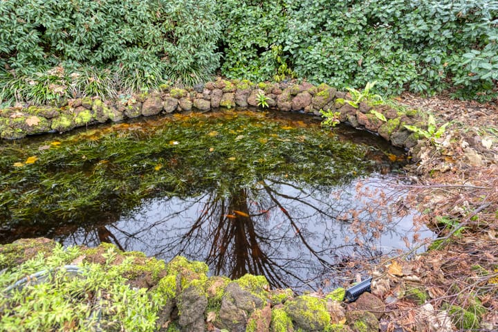 Foto 42 van Eimerick 2